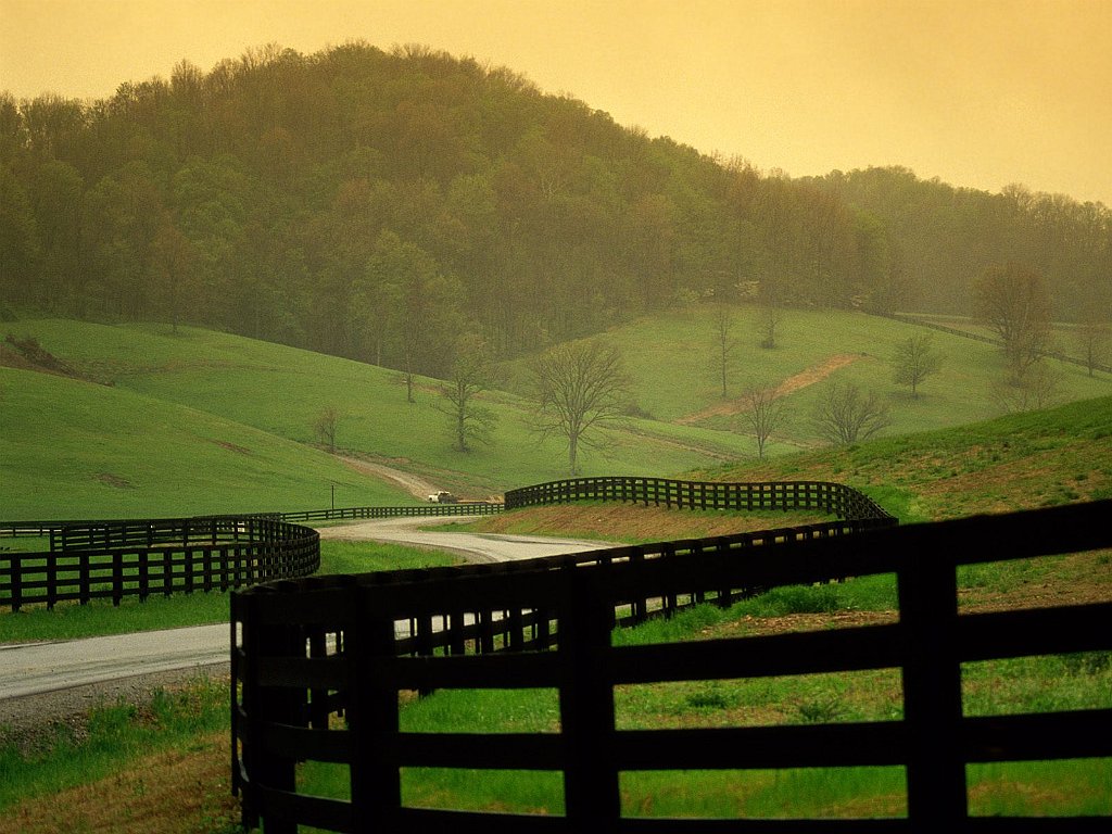 Peaceful Countryside